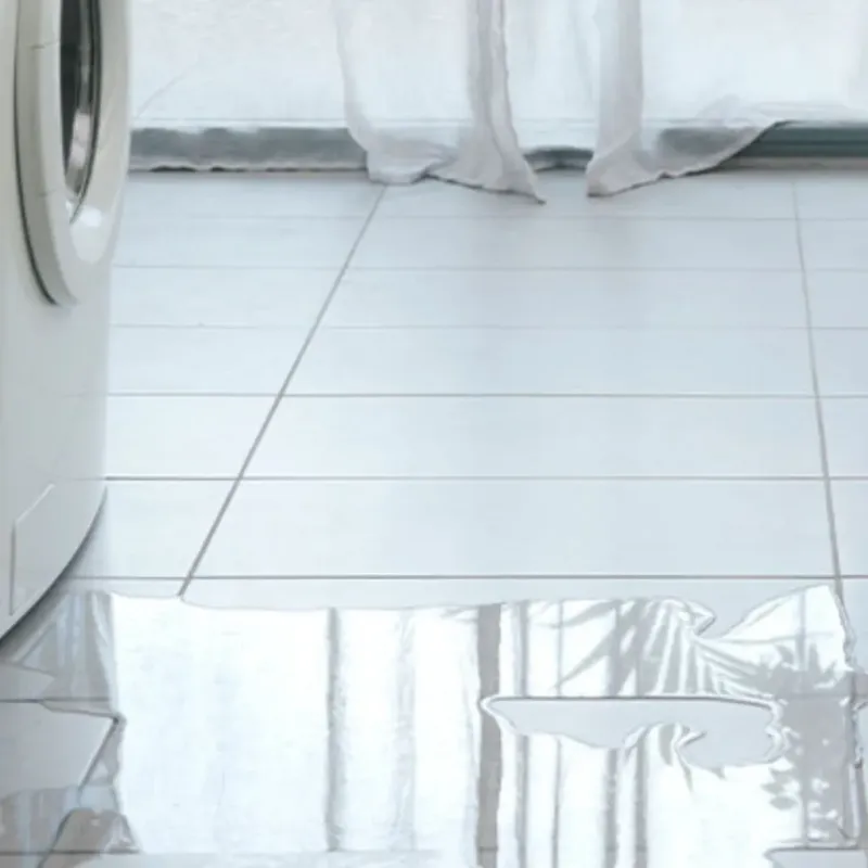 Appliance Leak Cleanup in Colfax, WI