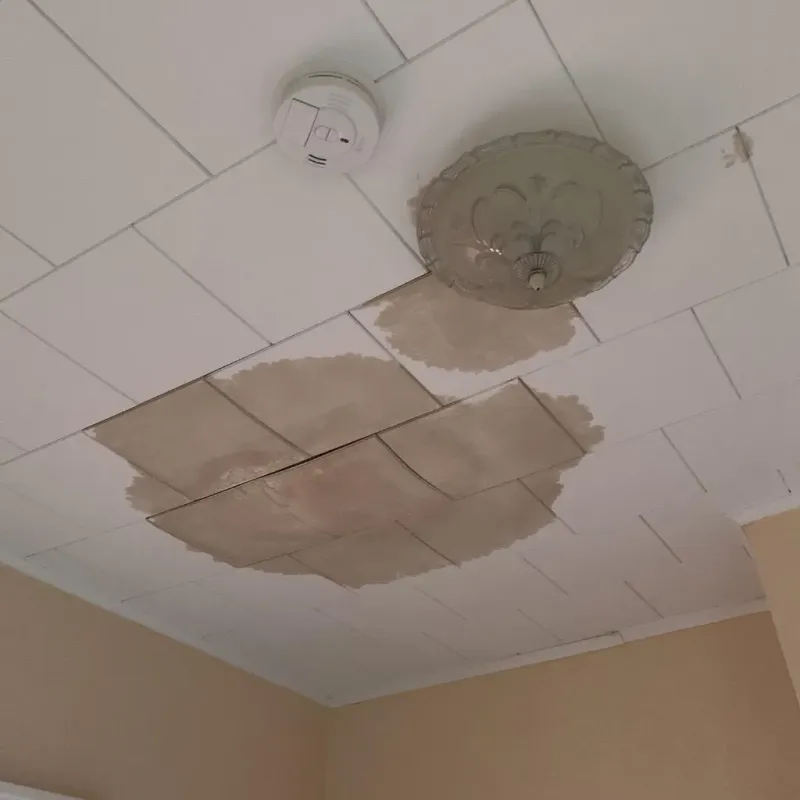 Ceiling Water Damage Repair in Colfax, WI