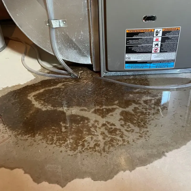 Pipe Burst and Leak Restoration in Colfax, WI