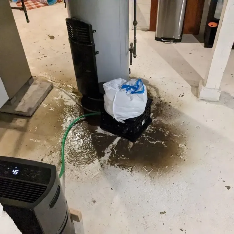 Sewage Backup Cleanup Service in Colfax, WI